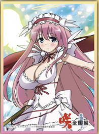 Chara Sleeve Collection Deluxe No. DX002 Saki Zenkoku-hen  (UNUSED Sleeves / No Promo Cards)